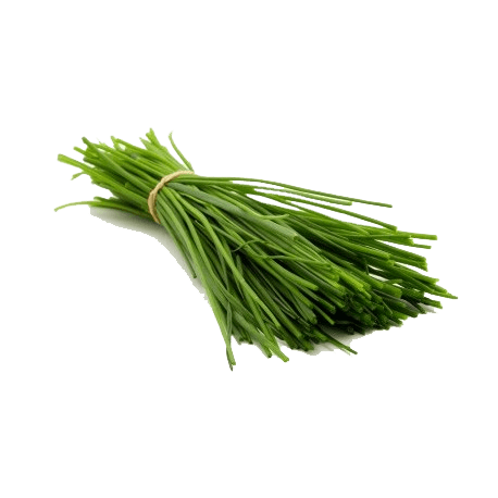 Frozen Chives