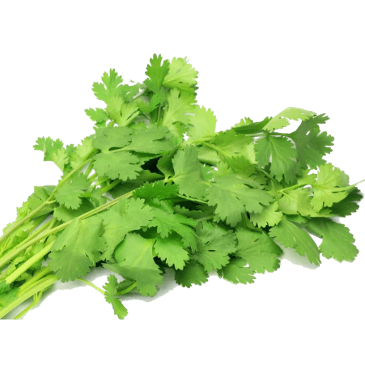 Frozen Coriander