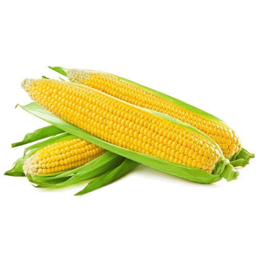 Frozen Corn