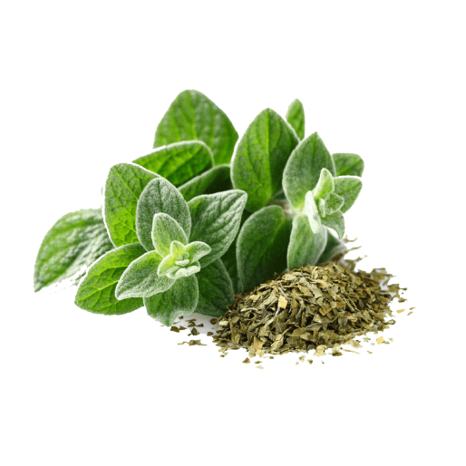 Frozen Oregano