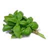 Frozen Basil