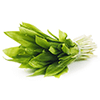 Frozen Bear's Garlic
