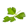 Frozen Parsley