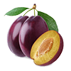 Frozen Prunes