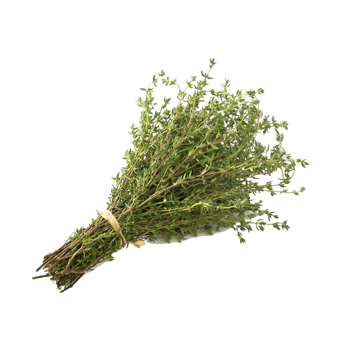 Frozen Thyme