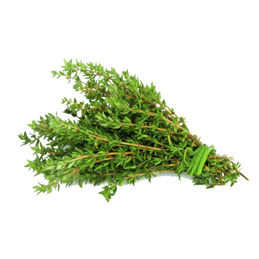 Frozen Thyme